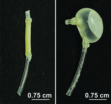DRIFT (Drug-Releasing Intravesical Floating Technology) device