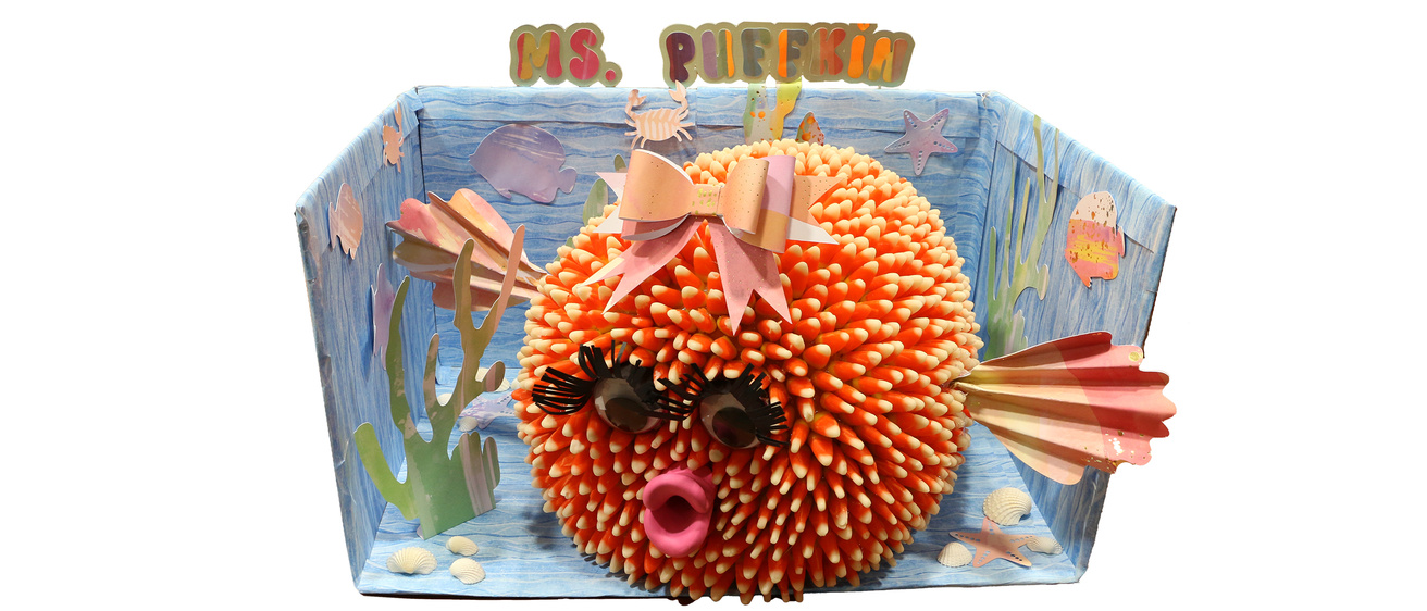 The Puffkins carved pumpkin