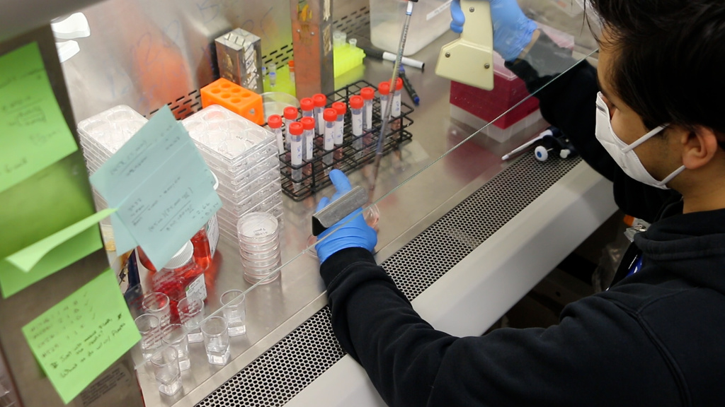 Ben George performing assay