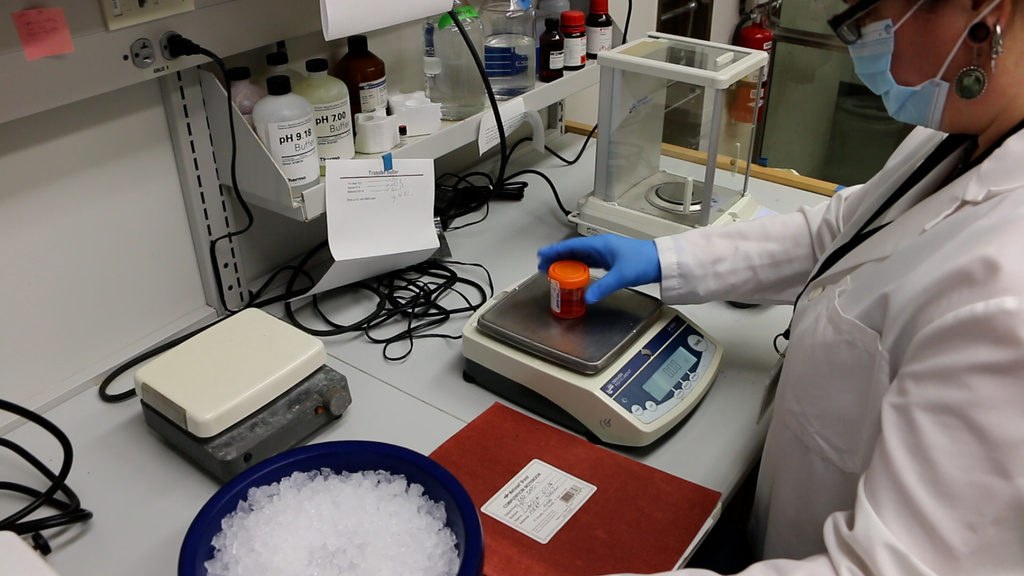 Researcher weighing cells on scale