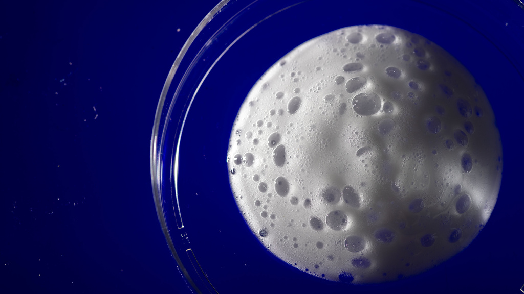 Foam being ejected onto a petri dish